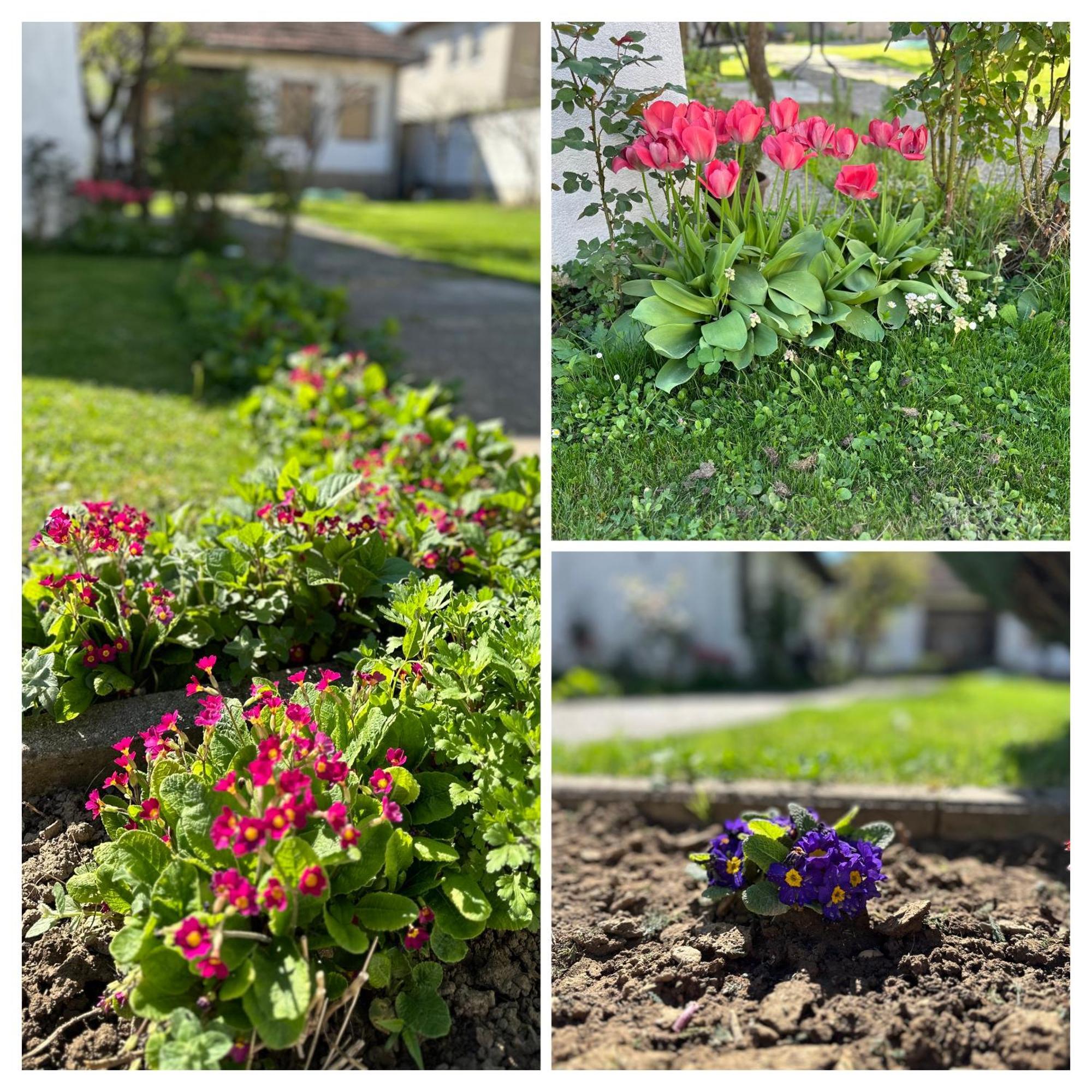 Garden Guesthouse Gjakova Luaran gambar